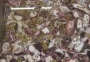 Salade de poulpe vendue au rayon traditionnel marée