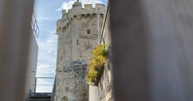 Sauvetage de la tour Saint-Nicolas de La Rochelle : des plongeurs vont installer d'imposants échafaudages dans l'eau - ici