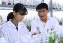 Science et ressources humaines : le Vietnam et Israël explorent de nouvelles synergies. - IsraelValley