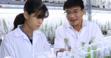 Science et ressources humaines : le Vietnam et Israël explorent de nouvelles synergies. - IsraelValley
