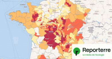 Sécheresse : 45 départements français en situation de crise