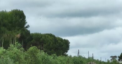 Séjour dans les Pouilles - Masseria  San Giuseppe à Corato - Castel del Monte