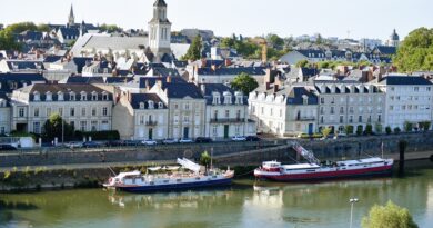 Pays de la Loire, Nantes, Angers, Loire river, castle, vineyard, coast, landscape