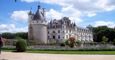 Pays de la Loire, Nantes, Angers, Loire river, castle, vineyard, coast, landscape