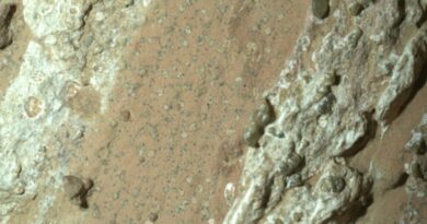 Le rover Perseverance montrant des roches tachetés sur la surface de Mars