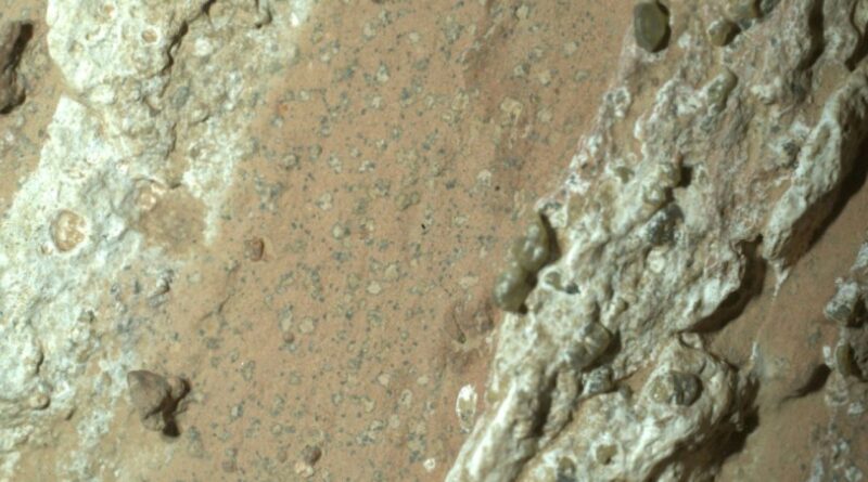 Le rover Perseverance montrant des roches tachetés sur la surface de Mars