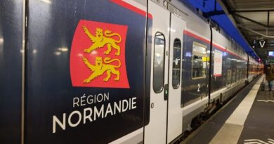 TER Paris-Rouen : un jeune de 19 ans meurt percuté par un train à la gare de Pont-de-l'Arche, 230 passagers bloqués - ici