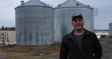 Tarifs chinois sur le canola : « une bonne difficulté » pour les producteurs