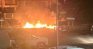 Tensions en Martinique : des gendarmes mobiles envoyés en renfort