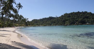 Guadeloupe, Basse-Terre, Pointe-à-Pitre, volcano, beach, palm, waterfall, Creole, island