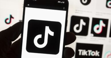 TikTok : des parlementaires français veulent un « couvre-feu numérique » pour les moins de 15 ans
