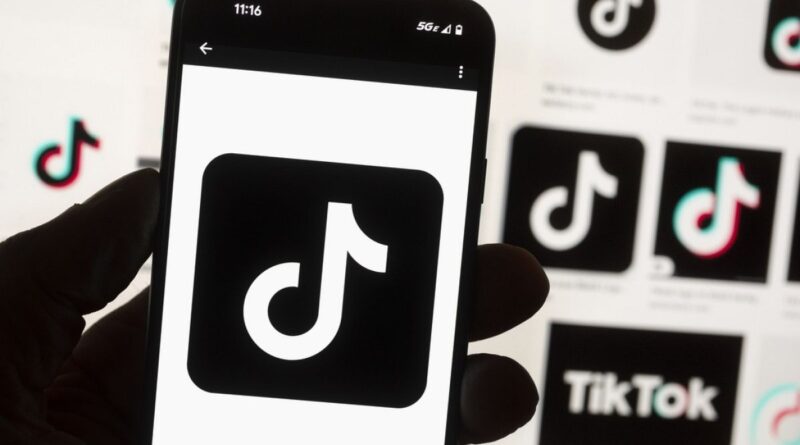 TikTok : des parlementaires français veulent un « couvre-feu numérique » pour les moins de 15 ans