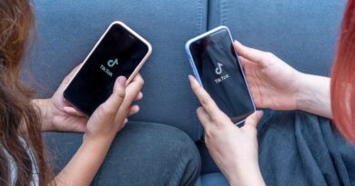 TikTok : les mesures préconisées pour contrer ce réseau social peuvent-elles être efficaces ?