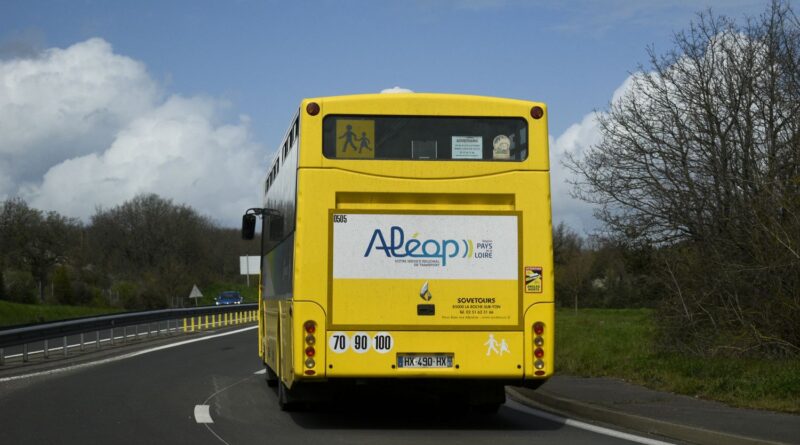 Transport scolaire : 182 conducteurs testés positifs à l'alcool ou aux stupéfiants depuis début 2025