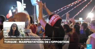 Turquie : manifestations de l'opposition au président Erdogan