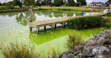 UK's largest lake 'dying' as algae blooms worsen