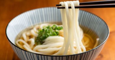 Udon, les épaisses nouilles japonaises