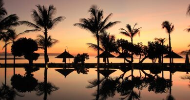Guadeloupe, Basse-Terre, Pointe-à-Pitre, volcano, beach, palm, waterfall, Creole, island