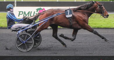 Un crack de Vincennes sur l’hippodrome d’Alençon, dimanche 7 septembre