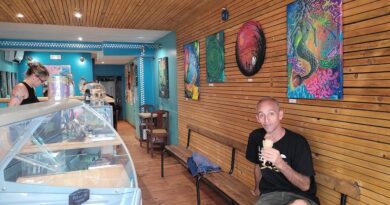 Un été sétois haut en couleurs et en saveurs avec l’exposition de Reka à l’Atelier du flamant rose