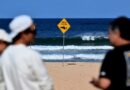Un "grand requin" tue un surfeur en Australie