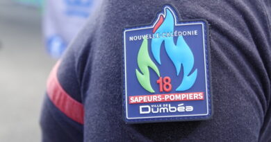 Un homme se tue en sautant du pont des Érudits à Dumbéa
