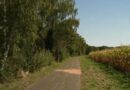 Un joggeur retrouvé mort par balle en Essonne