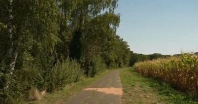 Un joggeur retrouvé mort par balle en Essonne