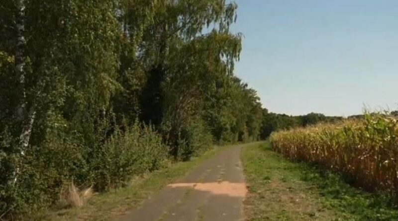 Un joggeur retrouvé mort par balle en Essonne