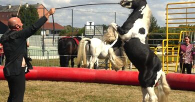 Un spectacle équestre pour clôturer l'été à Gournay-en-Bray