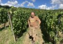 "Un vent de liberté dans nos pratiques", le vin d'un vigneron francilien distingué pour la première fois