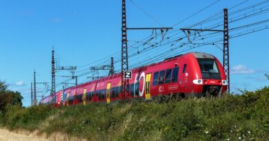 "Une catastrophe pour ceux qui habitent Auch" : une ligne de train menacée de fermeture faute de travaux