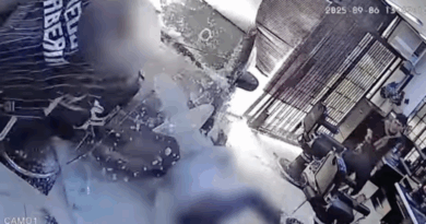VIDÉO Elle tente de se garer mais confond frein et accélérateur : une automobiliste percute violemment un salon de coiffure bondé, quatre blessés