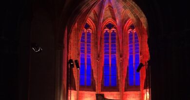 Varduhi Yeritsyan aux Jacobins : papillons de lumières - Critique