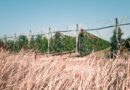 Victime de pesticide : une hausse des demandes d’indemnisation de 42,8 % - L'Humanité