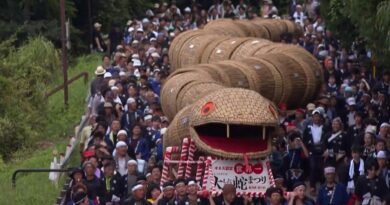 Vidéo. Un serpent géant en bambou défile dans un village japonais