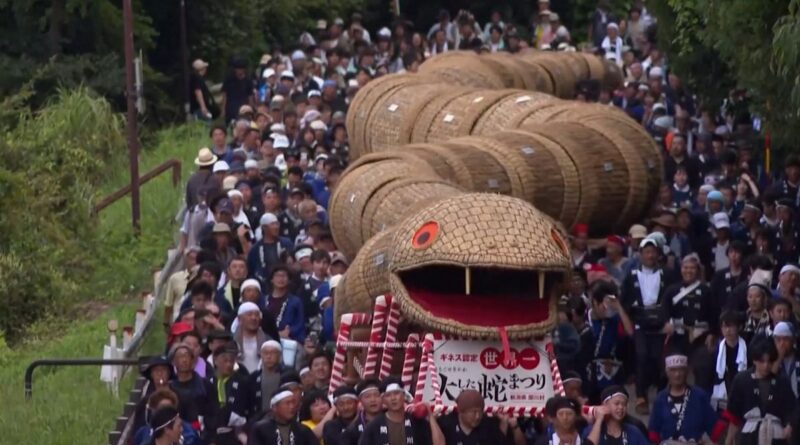 Vidéo. Un serpent géant en bambou défile dans un village japonais