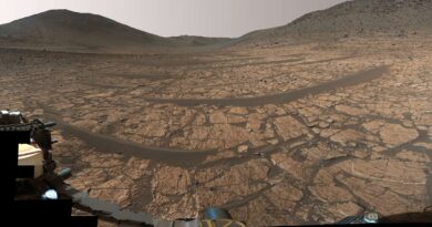 Vie sur Mars : la Nasa détecte les biosignatures les plus convaincantes à ce jour !