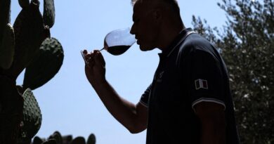 Vin | L’Italie demeure premier producteur mondial