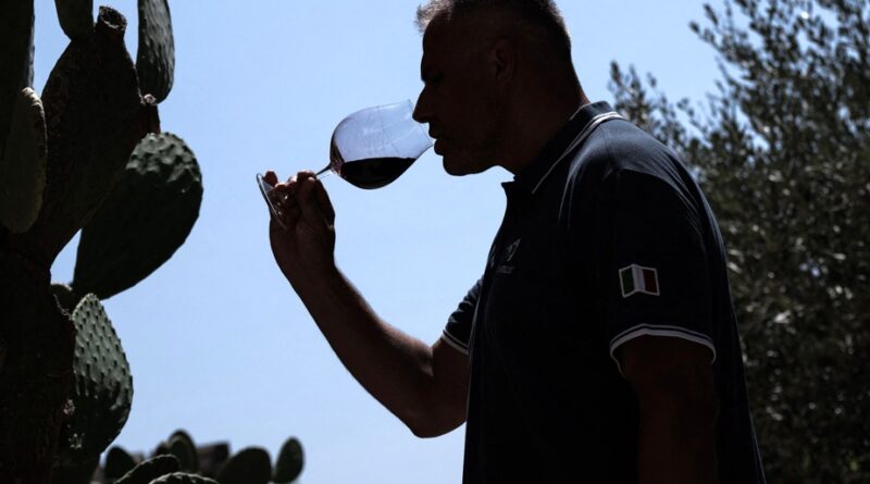 Vin | L’Italie demeure premier producteur mondial