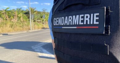 Violences sur un enfant lors d’un cambriolage à Farino : l’auteur présumé des faits interpellé
