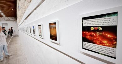 Visa pour l'Image à Perpignan : Photos, émojis, hashtags pour percuter la catastrophe climatique - Dis-leur !