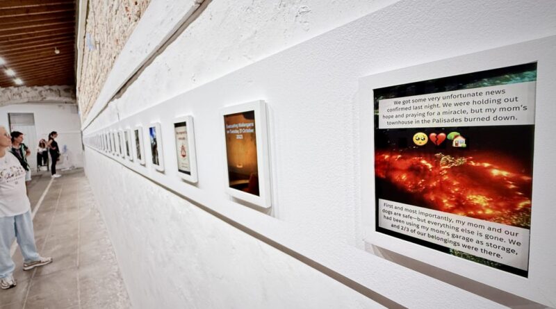 Visa pour l'Image à Perpignan : Photos, émojis, hashtags pour percuter la catastrophe climatique - Dis-leur !