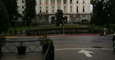 politics, government, parliament, election, voting, democracy, politician, president