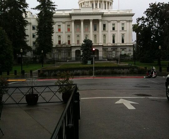 politics, government, parliament, election, voting, democracy, politician, president