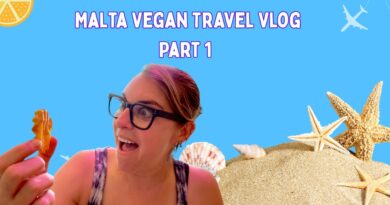 Voyages végétaliens à Malte (1re partie)