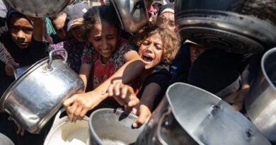 Vrai ou faux. Famine à Gaza : l'ONU a-t-elle manipulé les chiffres, comme l'accuse Israël ?