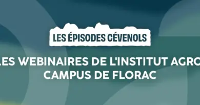 Webinaire – Mieux relationner avec soi et les autres
