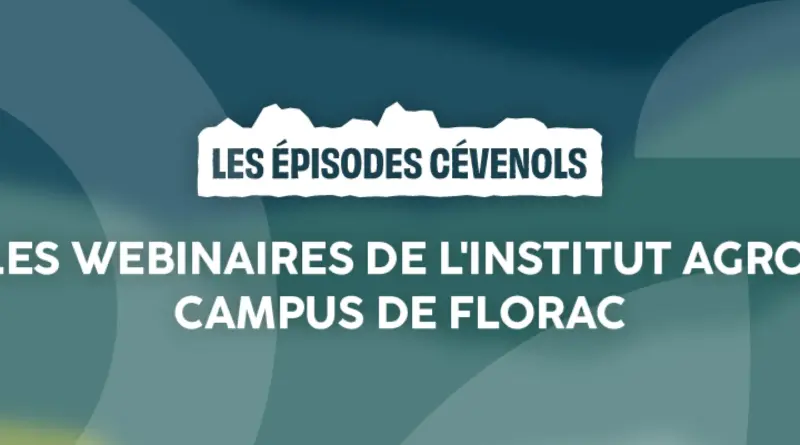 Webinaire – Mieux relationner avec soi et les autres