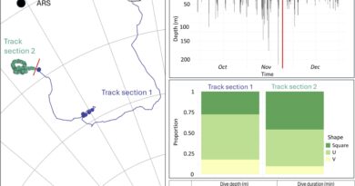 Whale feeding zone discovery triggers call for protection